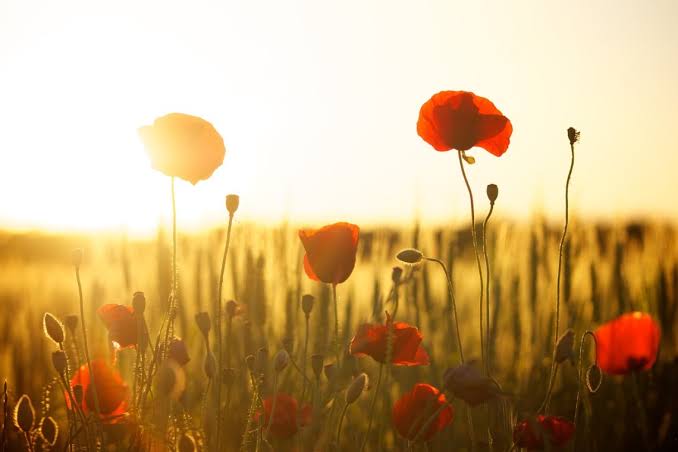 Printemps